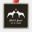 Recherche de boston terrier ornements Amusement