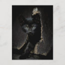 Recherche de yeux verts chat cartes postales Mignon