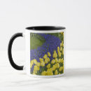 Recherche de keukenhof tasses Destination touristique
