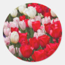 Recherche de pétales rouges autocollants Floral