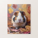 Recherche de cobaye puzzles Casse tête de cobaye