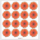 Recherche de oran autocollants Floral