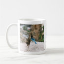 Recherche de blue jays tasses Nature