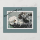 Recherche de amour de loutre cartes postales Mer