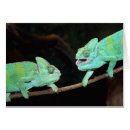 Recherche de caméléon vœux cartes Faune