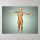 Recherche de artères posters Bras étirés