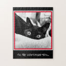 Recherche de chaton noir puzzles Dame de chat fou
