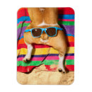 Recherche de beurres magnets Animal