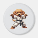 Recherche de karaté magnets Mignon