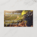 Recherche de raisins sur la vigne cartes visite Vin