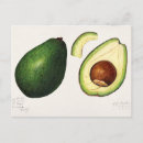 Recherche de fruit vert cartes postales Végétalien