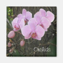 Recherche de orchidée magnets Rose