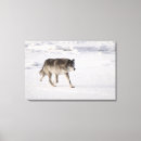 Recherche de fonctionnement art Animal