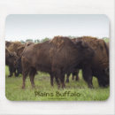 Recherche de bovins tapis souris Bison