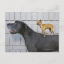 Recherche de chien dos posters Échelle