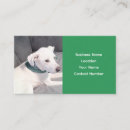 Recherche de adorable cartes visite Dresseur de chien