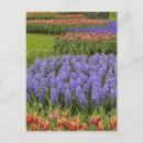 Recherche de jardin de keukenhof cartes postales Europe