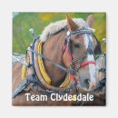Recherche de horse carrés magnets Chevaux