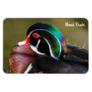 Recherche de canard magnets Observation des oiseaux