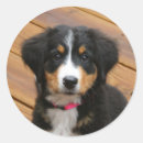 Recherche de berner autocollants Montagne