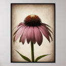 Recherche de belles fleurs posters Pour tous