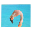 Recherche de flamant rose blocsnotes Bleu
