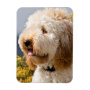 Recherche de curiosité magnets Fourrure