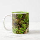Recherche de redwood tasses Nature