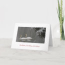 Recherche de oiseaux aquatiques vœux cartes Cygnes