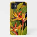 Recherche de oiseau fleurs paradis tropical coques Botanique