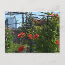 Recherche de août cartes postales Fleurs