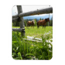 Recherche de carpathien Nature