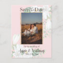 Recherche de fleur magnolia cartes postales Pour eux