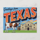 Recherche de longhorn du texas cartes postales Occidental