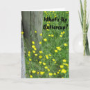 Recherche de renoncule cartes postales Champ