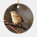 Recherche de roitelet ornements Faune