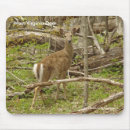 Recherche de cerf commun tapis souris Daine