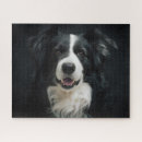 Recherche de border collie puzzles Animal
