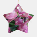 Recherche de orchidee ornamente Plante