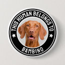 Recherche de grand chat badges Noir et blanc