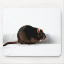 Recherche de rat blanc tapis souris Pour tous
