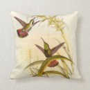 Recherche de colibri coussins Oiseau