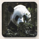 Recherche de panda géant dessous de verres Pandas