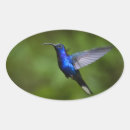 Recherche de grand observé autocollants Animaux