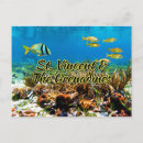 Recherche de mer de corail cartes postales Récif