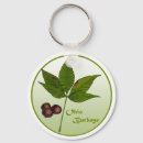 Recherche de sauterelle porteclés Ohio