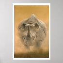 Recherche de mis en danger posters Rhinocéros