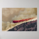 Recherche de incendie de forêt posters Feu