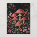 Recherche de champignons rouges cartes postales Plante