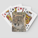 Recherche de mise jeux de cartes Image en couleur
